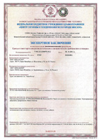 Экспертное заключение. Грунт для живописи