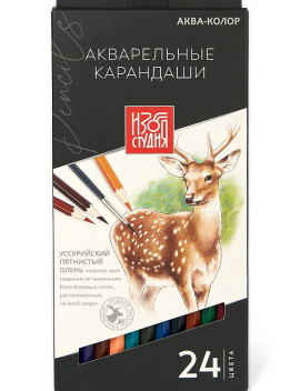 Набор акварельных карандашей  "Изостудия" 24 цв.