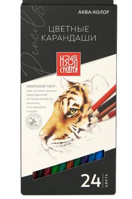 Набор цветных карандашей "Изостудия" 24 цв.