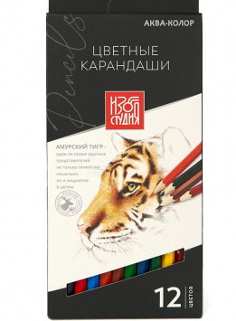 Набор цветных карандашей "Изостудия" 12 цв.